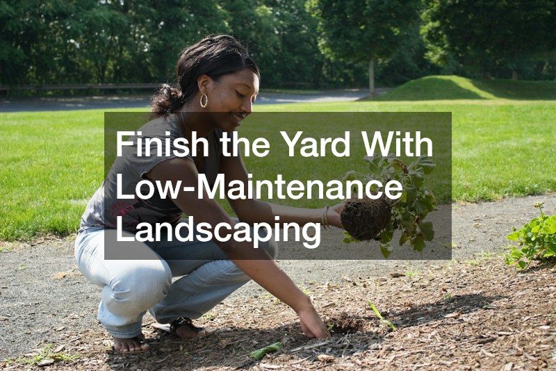 Finish the Yard With Low-Maintenance Landscaping