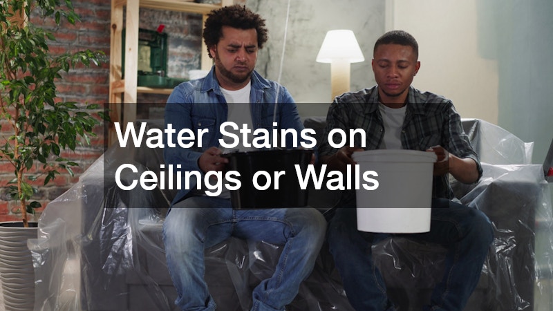 Water Stains on Ceilings or Walls