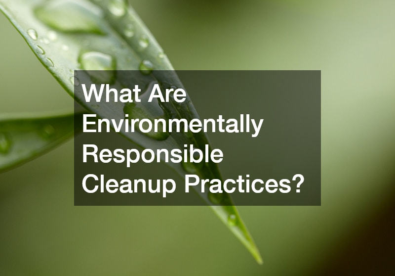 What Are Environmentally Responsible Cleanup Practices?