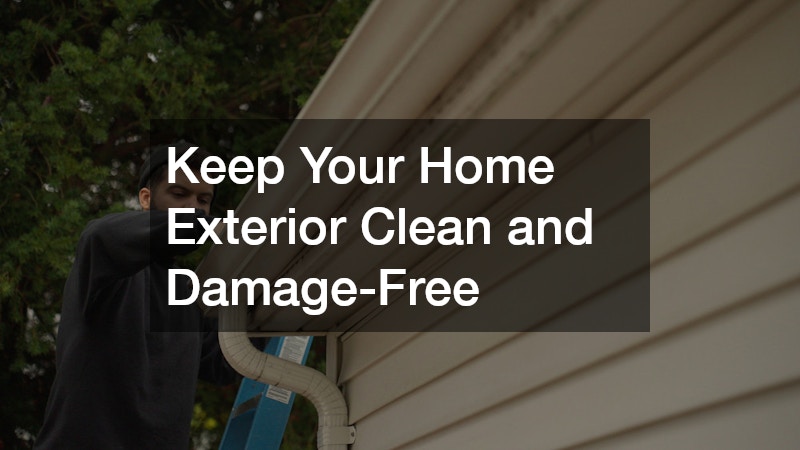 Keep Your Home Exterior Clean and Damage-Free