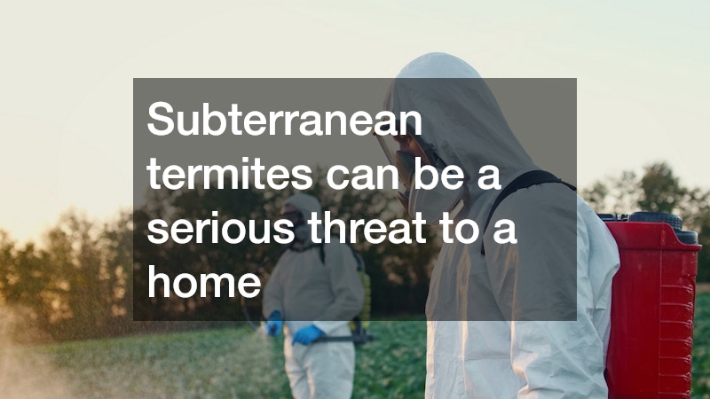 Subterranean termites can be a serious threat to a home