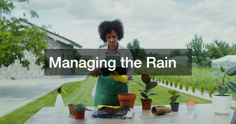 Managing the Rain