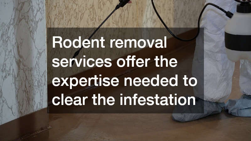 Rodent removal services can eliminate the existing problem and take preventive steps to keep rodents from returning, 