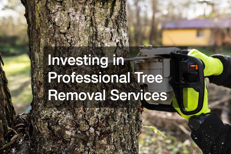 Investing in Professional Tree Removal Services