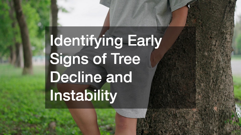 Identifying Early Signs of Tree Decline and Instability