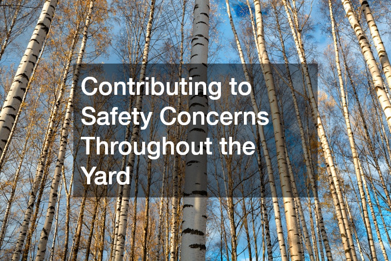 Contributing to Safety Concerns Throughout the Yard