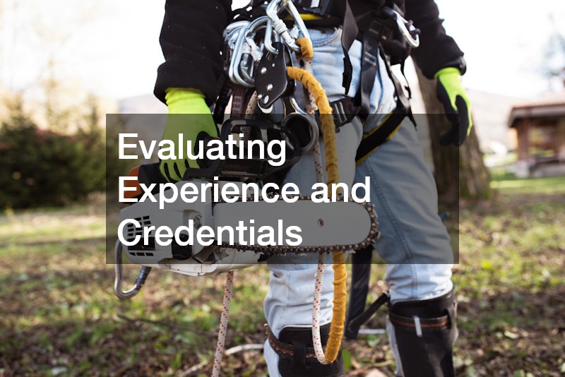 Evaluating Experience and Credentials