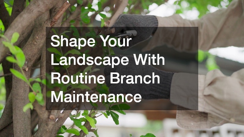 Shape Your Landscape With Routine Branch Maintenance