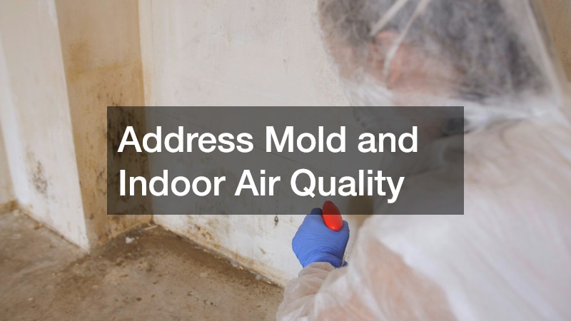 Address Mold and Indoor Air Quality