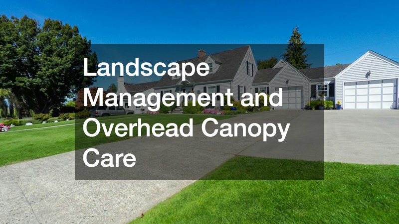 Landscape Management and Overhead Canopy Care