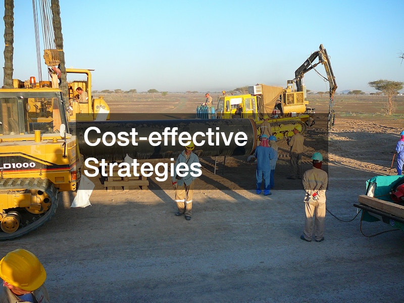 Cost-effective Strategies