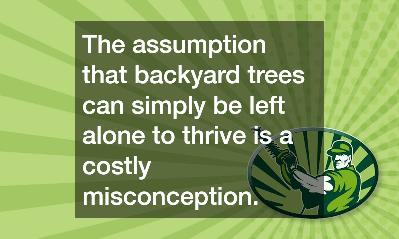The assumption that backyard trees can simply be left alone to thrive is a costly misconception.