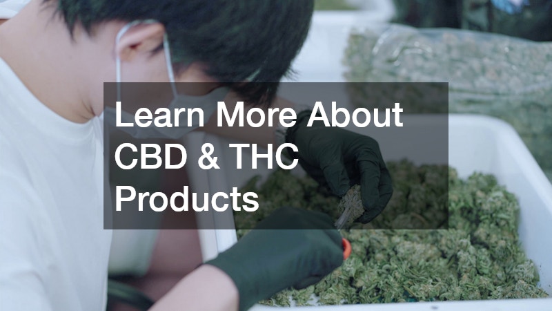 Learn More About CBD & THC Products