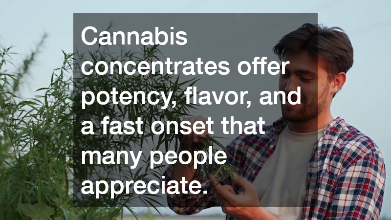 Cannabis concentrates offer potency, flavor, and a fast onset that many people appreciate.