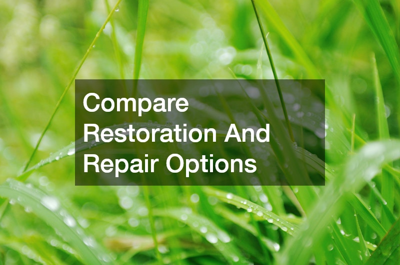 Compare Restoration And Repair Options