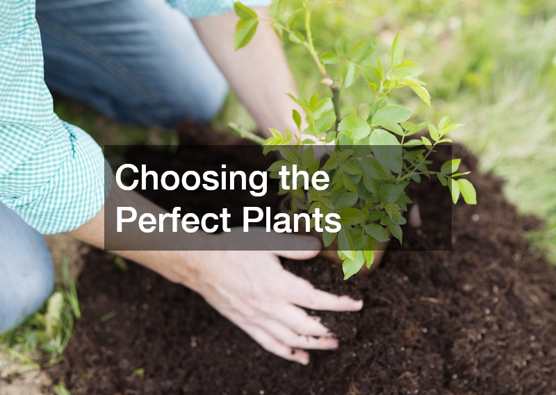 Choosing the Perfect Plants