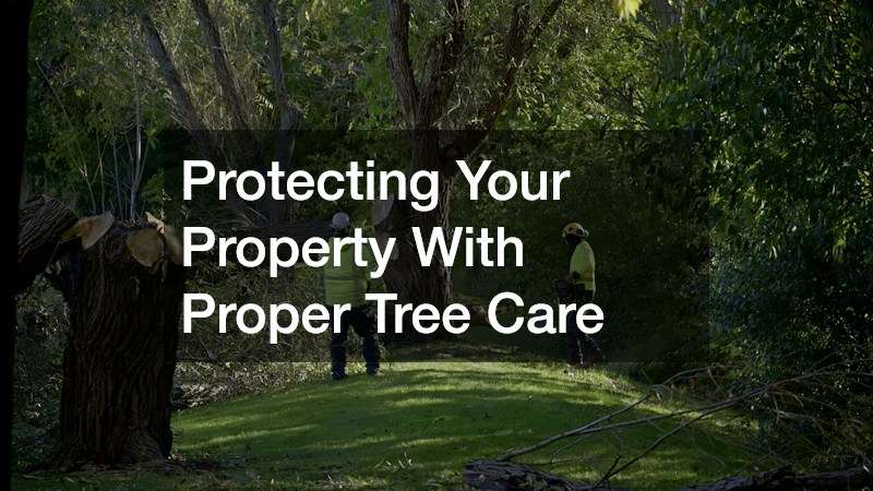 Protecting Your Property With Proper Tree Care