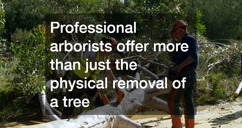 Professional arborists offer more than just the physical removal of a tree