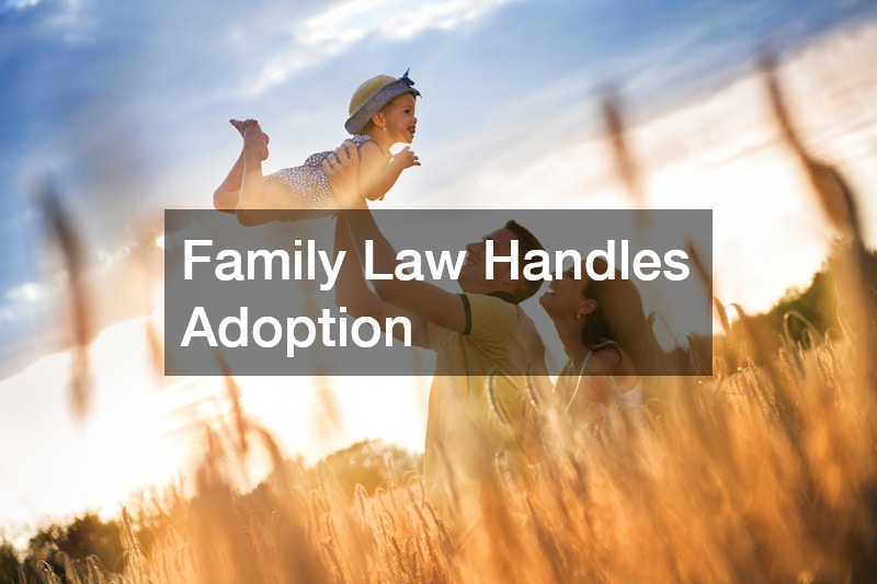 Family Law Handles Adoption