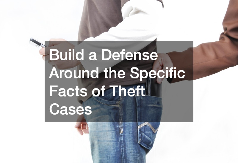 Build a Defense Around the Specific Facts of Theft Cases