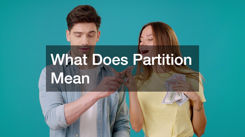 What Does Partition Mean