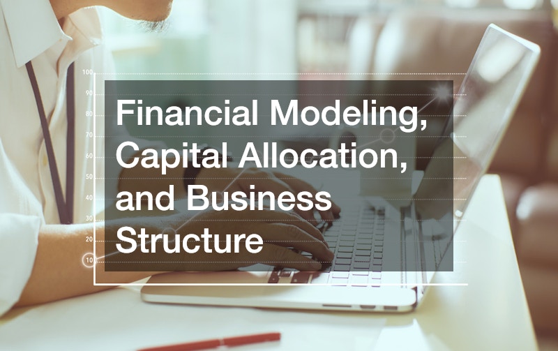 Financial Modeling, Capital Allocation, and Business Structure