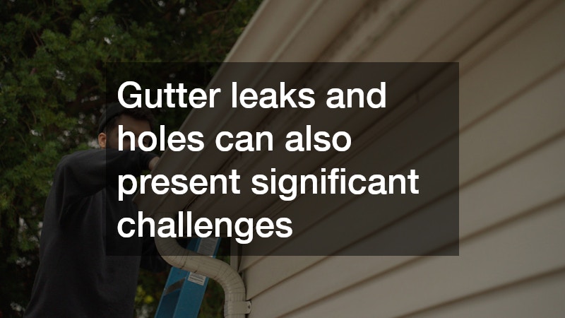 Gutter leaks and holes can also present significant challenges