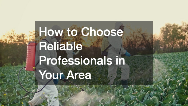How to Choose Reliable Professionals in Your Area