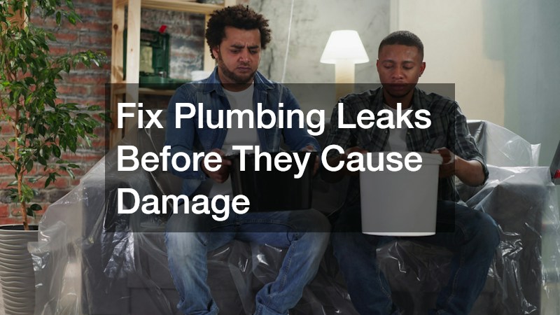 Fix Plumbing Leaks Before They Cause Damage