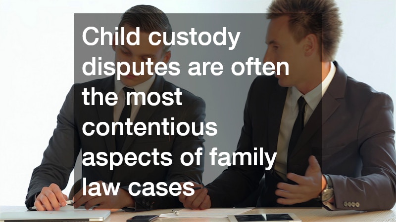 Child custody disputes are often the most contentious aspects of family law cases