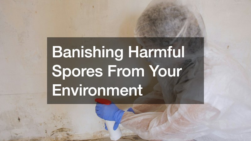 Banishing Harmful Spores From Your Environment