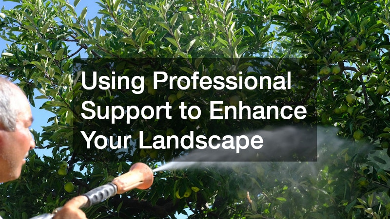 Using Professional Support to Enhance Your Landscape