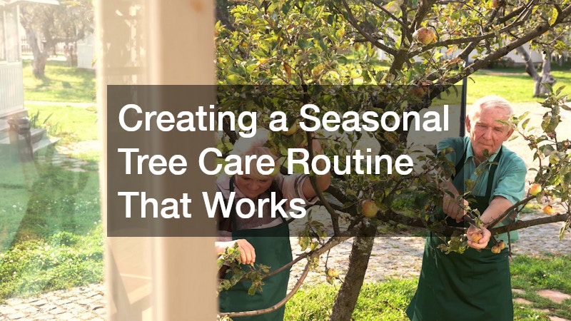 Creating a Seasonal Tree Care Routine That Works