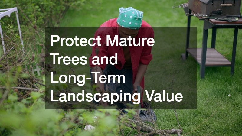 Protect Mature Trees and Long-Term Landscaping Value