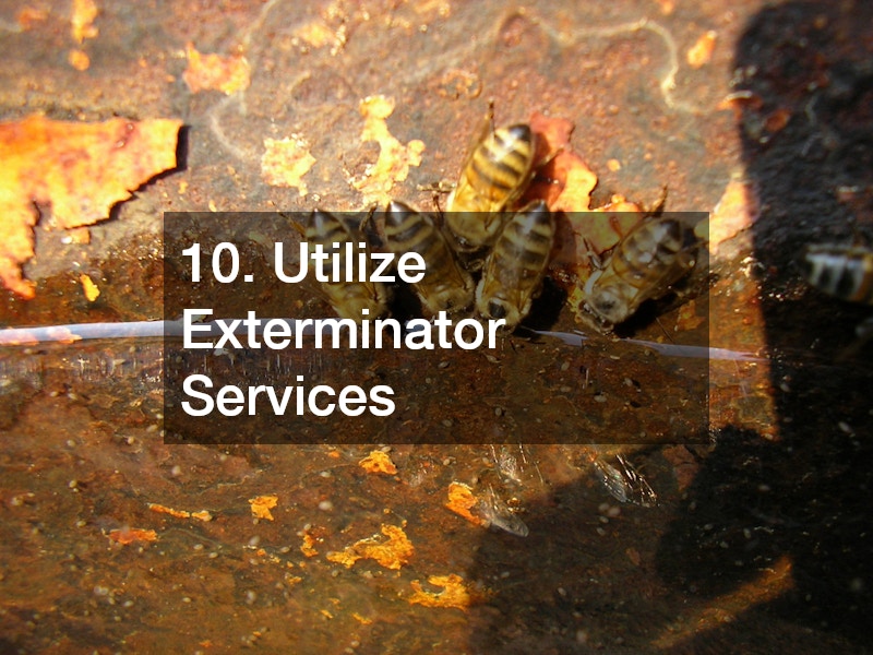 10. Utilize Exterminator Services