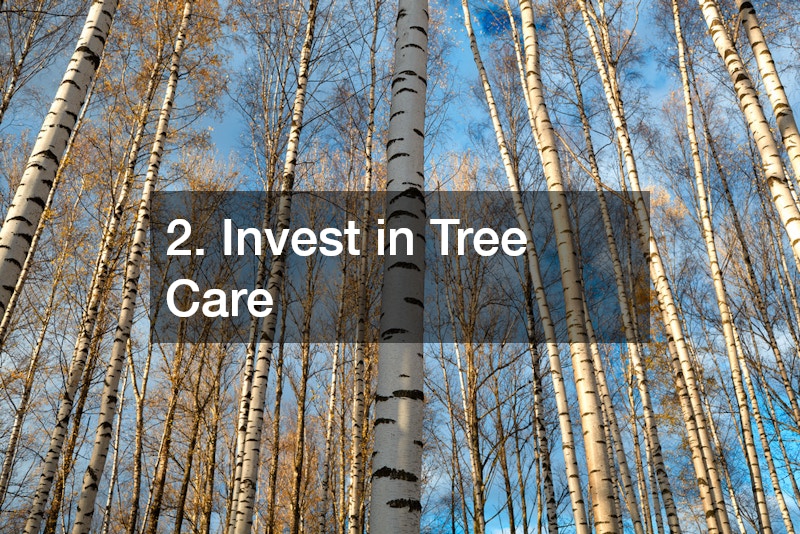 2. Invest in Tree Care