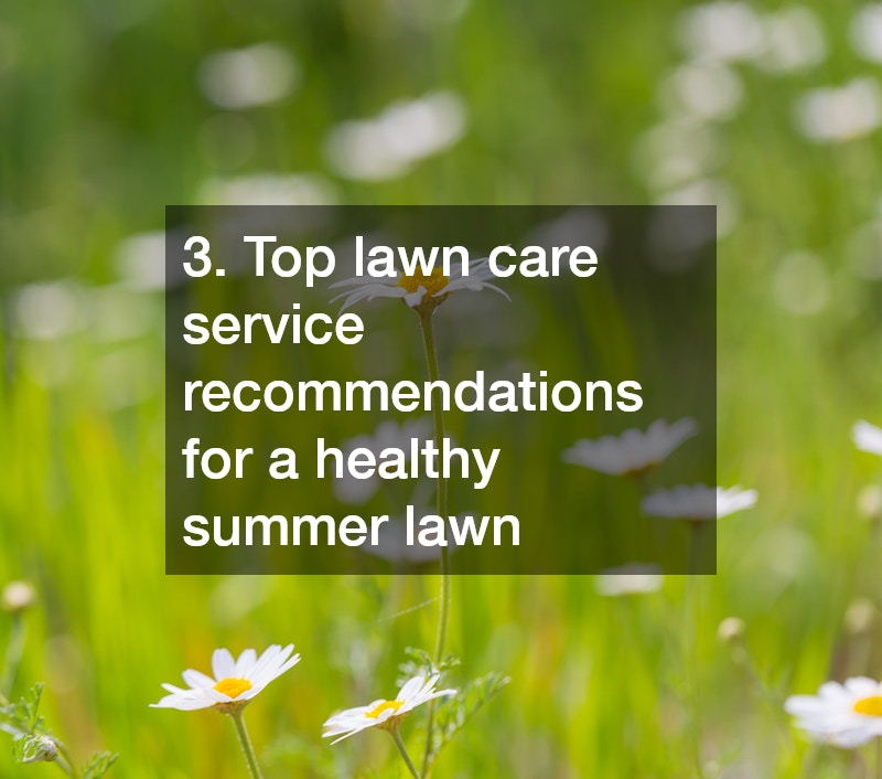 3. Top lawn care service recommendations for a healthy summer lawn