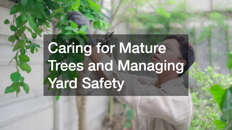 Caring for Mature Trees and Managing Yard Safety