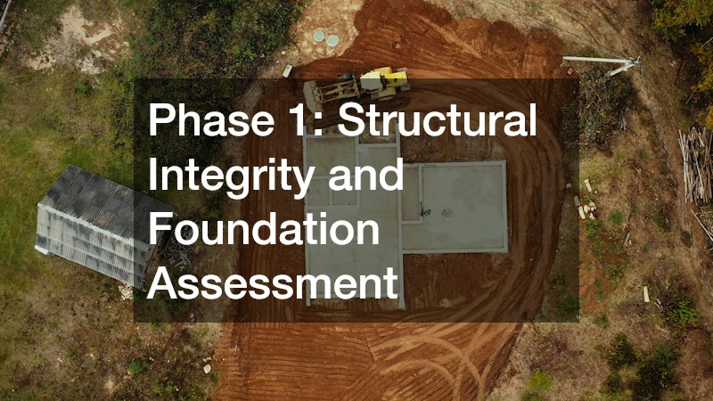 Phase 1: Structural Integrity and Foundation Assessment