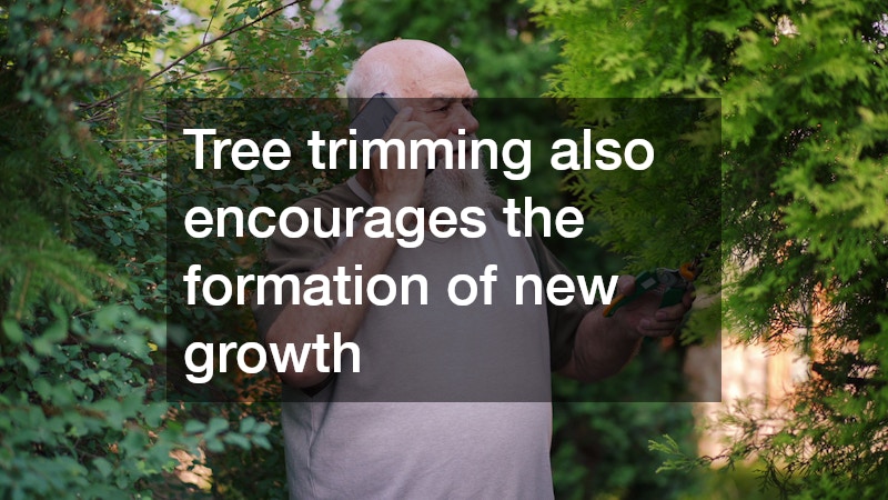 Tree trimming also encourages the formation of new growth