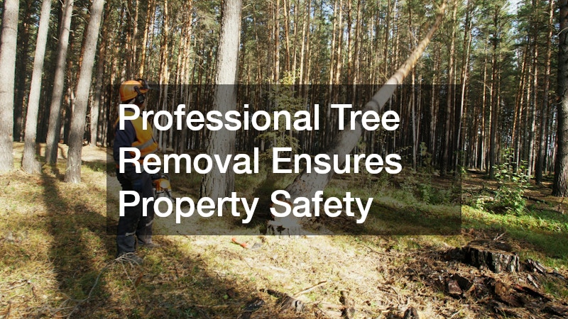 Professional Tree Removal Ensures Property Safety