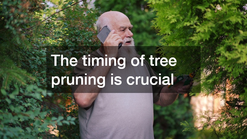 The timing of tree pruning is crucial