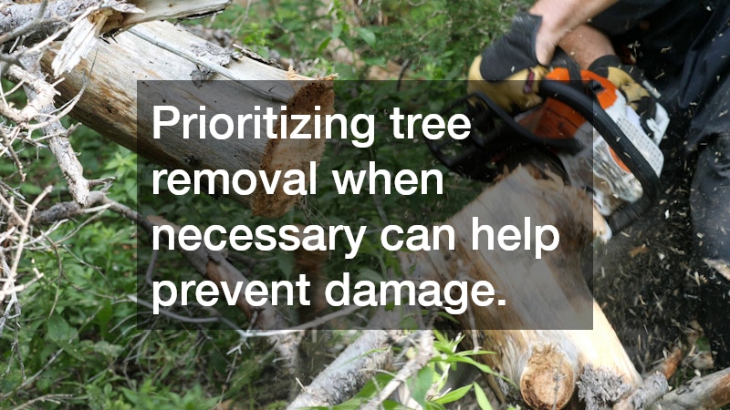 Prioritizing tree removal when necessary can help prevent damage.