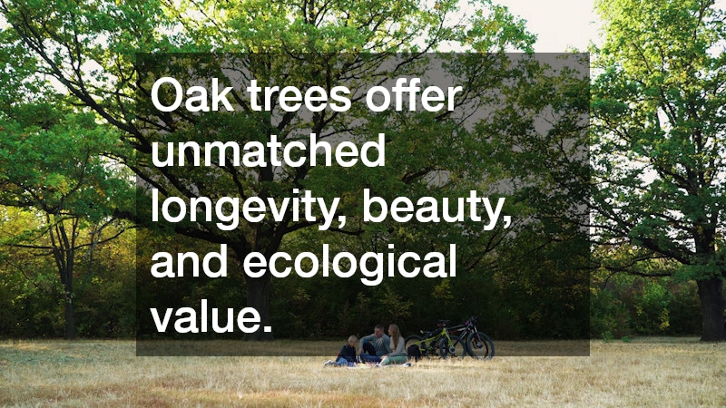 Oak trees offer unmatched longevity, beauty, and ecological value.