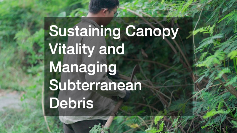 Sustaining Canopy Vitality and Managing Subterranean Debris
