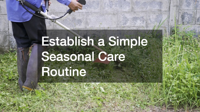 Establish a Simple Seasonal Care Routine