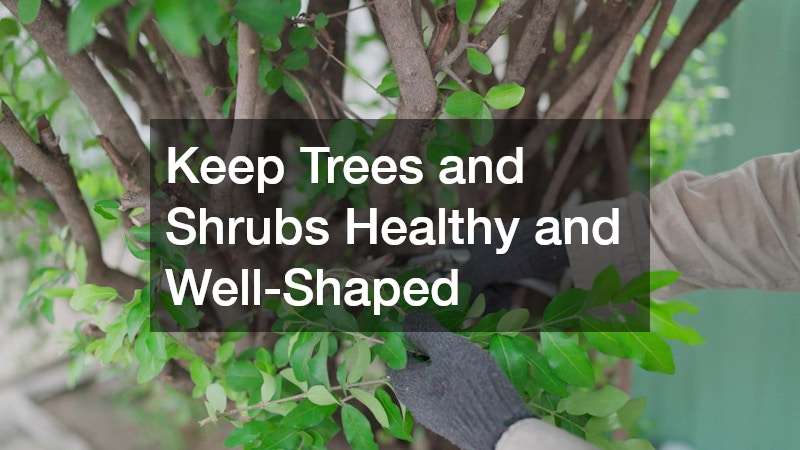 Keep Trees and Shrubs Healthy and Well-Shaped