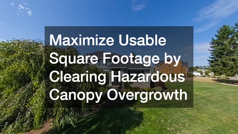 Maximize Usable Square Footage by Clearing Hazardous Canopy Overgrowth