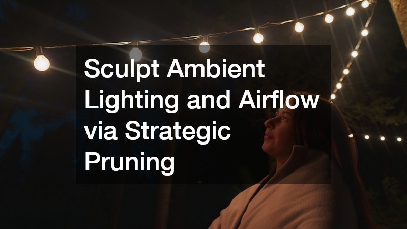 Sculpt Ambient Lighting and Airflow via Strategic Pruning