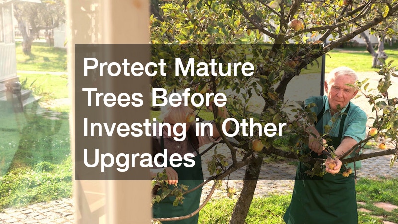 Protect Mature Trees Before Investing in Other Upgrades